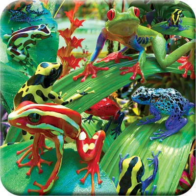 Imagen del producto de Posavasos 3D LiveLife de corcho - Ranas divertidas