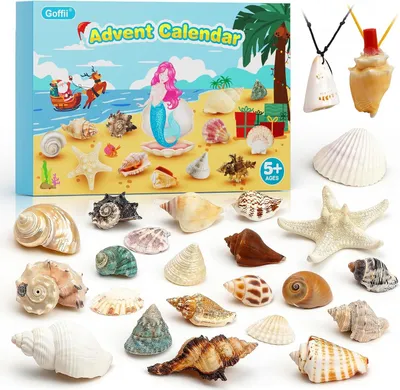 Image de Calendrier de l'Avent 2025 pour enfants - Calendrier de l'Avent de Noël avec 24 jours de surprises - Thème : coquillages - Calendrier de l'Avent