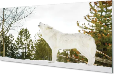 Produktbild von Glasbilder 140x70 Wandkunst Wolf Winterwald