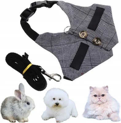 Obrázok produktu pre PETSTORY Priedušné postroje S pre malé zvieratá