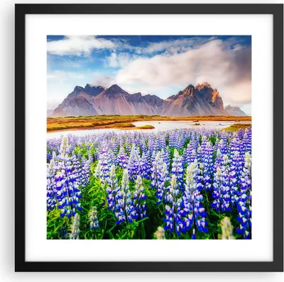 Produktbild von Gerahmtes Poster - Schwarzer Rahmen - Berge Wiese Blumen - 40x40 cm - Wand Bild - Wanddeko - Wandbilder - Kunstposter - Wandposter - Bilderrahmen - Bilder - Kunstdruck - Wandbild - P2BAC40x40-4114