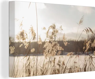 Produktbild von MuchoWow® - Leinwandbilder - Wasser - Pampasgras - Pflanzen, Wandbild, Wanddeko Bilder Wohnzimmer, 90x60 cm