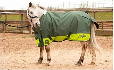 Produktbild von Harry´s Horse Stout! Lime 0g Weidedecke  125 cm  125 cm
