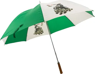 Immagine prodotto di Ombrello Impliva Verde-Bianco Moto2 Verde