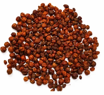 Produktbild von SaatPilot Celastrus paniculatus 30 g Samen Indischer Baumwürger