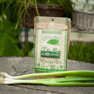 Produktbild von Die Stadtgärtner Minigarten Lauchzwiebel 'Negaro' | Komplettes Anzuchtset für knackige Frühlingszwiebeln | Gesiebte Erde, bestes Saatgut & eine ausführliche Anleitung
