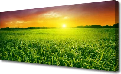 Produktbild von Tulup Leinwand-Bilder 125x50 Wandbild Canvas Kunstdruck Feld Sonnenaufgang Pflanzen