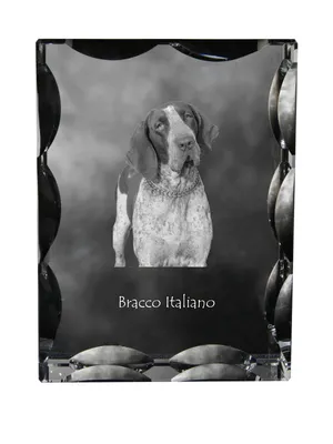 Obrázek produktu pro Italský ohař - krystal s fotografií psa, skleněná soška s fotografií, jedinečný rám s fotografií značky Art-Dog