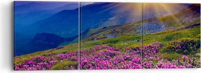 Produktbild von Bild auf Leinwand - Leinwandbild - Wiese Berge Landschaft - 90x30cm - Wand Bild - Wanddeko - Leinwanddruck - Bilder - Kunstdruck - Wanddekoration - Leinwand bilder - Wandkunst - CA90x30-2676