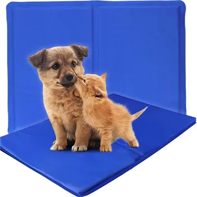 Produktbild von Kühlmatte für Hund, Katze, Kaninchen, Autositz, Bett, 40x50cm PetJet