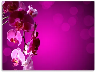 Produktbild von Wallario Glasunterlage, Schneidebrett aus Glas, Größe 30 x 40 cm, Motiv Rosafarbene Orchidee  Blüten in pink