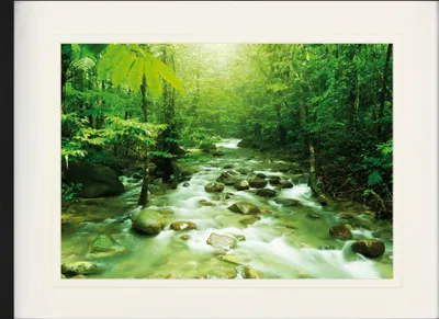 Obrázek produktu pro Lesy Zarámovaný obraz s elegantním paspartou | Obrazy na zeď | V rámu - Am Grünen Magischen Fluss (60 x 80 cm)