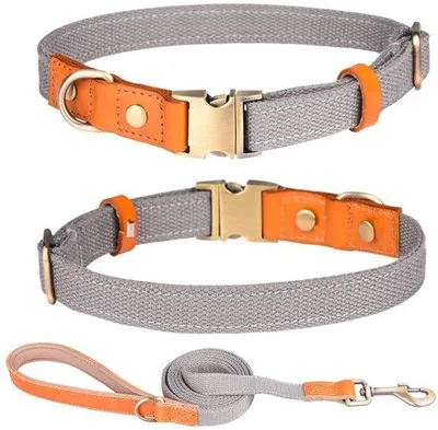 Obrázek produktu pro Obojek pro psy – nylon a kůže – 1,5 cm x 150 cm – bezpečnostní přezka z nerezové oceli – prodyšný a lehký
