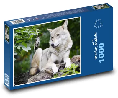 Obrázok produktu pre Puzzle 1000 Vlčí pokoj v lese - martinpuzzle