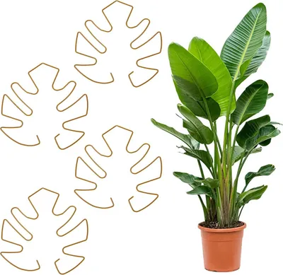Produktbild von Pflanzenstützen Metall Gold im Blatt-Design, 4er Set Rankhilfe für Zimmerpflanzen, 14x16cm Dekorative Rankgitter für Kletterpflanzen & Blumen, Wetterfest Lackiert