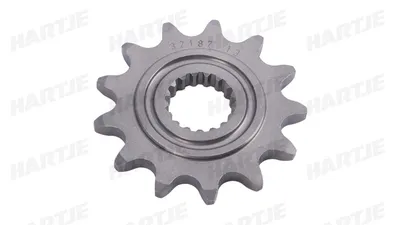 Image de Esjot Ritzel 520 13Z Standard