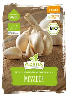 Artikelbild 2 von 'BIO XXL Winterpflanzknoblauch Messidor' aus der Kategorie Winterpflanzknoblauch