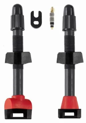 Image de Valve tubeless Barbieri Carbonaria SV 55mm noir UE 2 pièces