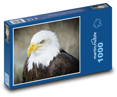 Produktbild von Puzzle 1000 Majestätischer Weißkopfseeadler - martinpuzzle