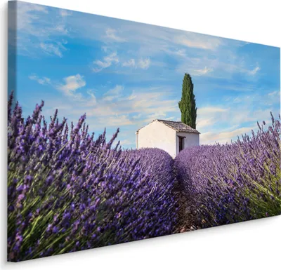 Produktbild von Fabelhafte Canvas LEINWAND BILDER 120x80 cm XXL Kunstdruck Natur Blumen Lavendel Feld