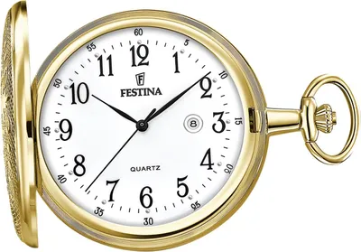 Immagine prodotto di Orologio da tasca Festina da uomo D2UF2028/1