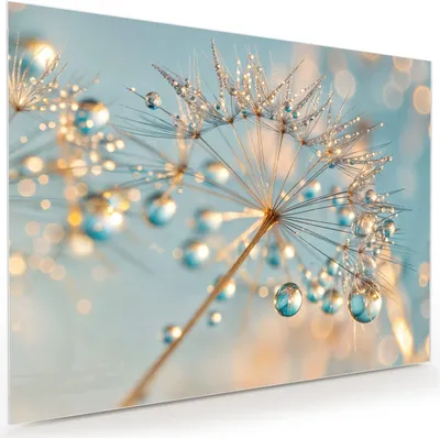 Produktbild von Glasbild 120x90cm in XXL für Wohnzimmer, Schlafzimmer Motiv Pusteblume Wassertropfen
