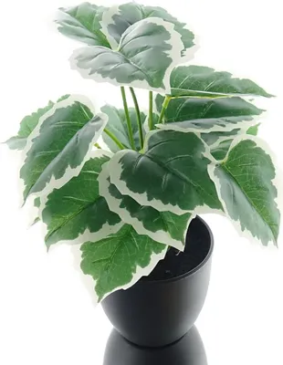Produktbild von DPI Efeu Gloire de Marengo Grünpflanze 32 cm - Kunstpflanzen