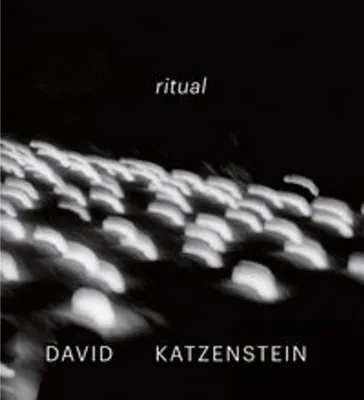 Imagen del producto de David Katzenstein