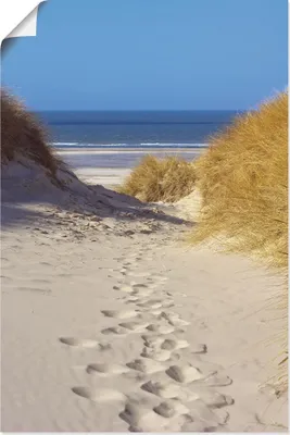 Produktbild von ARTland Poster Weg zum Strand II Größe: 60x90 cm