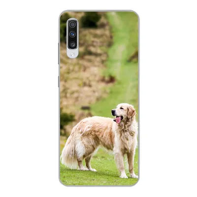 Produktbild von MuchoWow® Handyhülle Schutzhülle Hülle für Samsung Galaxy A70 Schönes Bild eines Golden Retrievers Silikon Softcase Handy Hülle - Schutzhaube