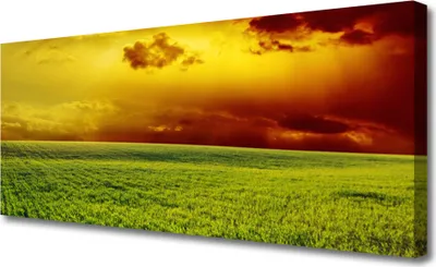 Produktbild von Tulup Leinwand-Bilder 125x50 Wandbild Canvas Kunstdruck Acker Landschaft