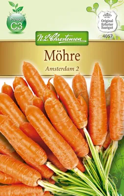 Produktbild von Möhre Amsterdam 2 | Möhrensamen von N.L. Chrestensen