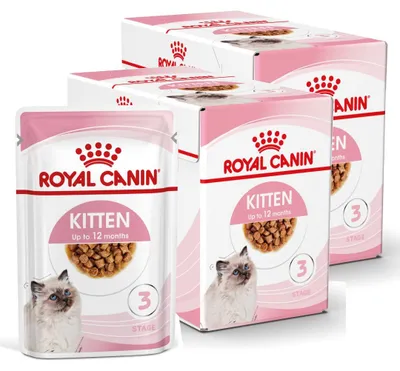Produktbild von Royal Canin FHN Kitten Instinctive 24 x 85 g Nassfutter in Soße für Kätzchen bis 12 Monate