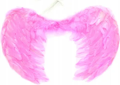 Produktbild von Engelsflügel mit Federn Rosa 60x40cm - Kostüm Zubehör Engel Weihnachten Fasching