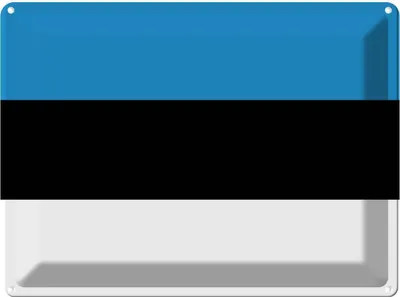 Produktbild von vianmo Blechschild 30x40 cm Estlands Estonia Flagge Fahne Wappen