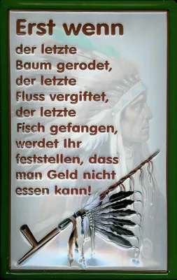 Produktbild von Blechschild Nostalgieschild Erst wenn der letzte Baum gerodet
