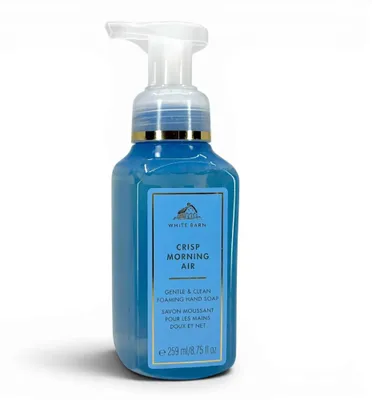 Image de Savon liquide pour les mains, mousse, Bath & Body Works, senteur "Air frais du matin", 259 ml