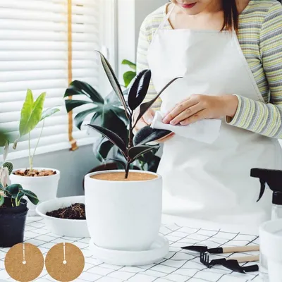 Winterschutz für Pflanzen - Kokosfaser-Mulchmatten für den Garten - Set mit 4 Stück - Geeignet für Töpfe - 20cm