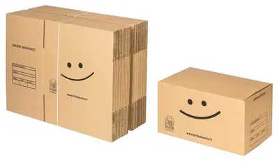 Image de Pack Pro 40 cartons renforcés avec poignées