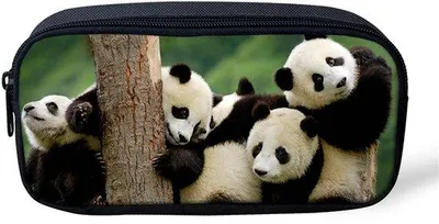 Obrázek produktu pro Panda pouzdro pro děti s Ritsem