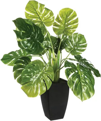 Obrázek produktu pro Umělá rostlina MONSTERA, 70 cm