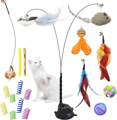 Image de Lot de 22 jouets pour chat : canne à pêche à plumes et souris