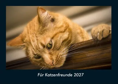 Produktbild von Für Katzenfreunde 2027 Fotokalender DIN A4