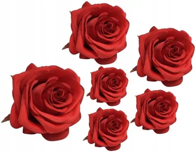 Produktbild von Domosfera Künstliche Rosenköpfe Rot 6 Stück Deko Arrangements