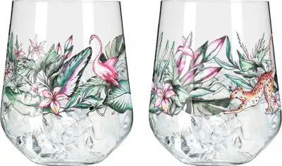 Obrázek produktu pro Ritzenhoff Gin Tumbler set of 2, Schattenfauna 005 006, křišťálové sklo, 710 ml, R-3701003