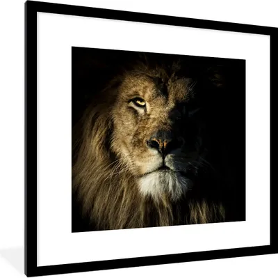 Produktbild von MuchoWow® Gerahmtes Poster Löwe - Licht - Schwarz 40x40 cm - Poster mit Schwarzem Bilderrahmen Wandposter Rahmen Foto Bilder - Poster - Plakat im Rahmen