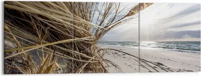 Produktbild von Bild auf Leinwand - Leinwandbild - 3 Teile - Küste Perspektive Gras - 150x50cm - Wand Bild - Wanddeko - Wandbilder - Leinwanddruck - Bilder - Wanddekoration - Leinwand bilder - CA150x50-4526
