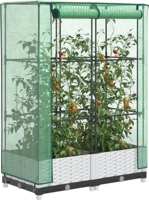 Image de Maison Exclusive - Potager surélevé avec serre intégrée, aspect rotin, 80 x 40 x 123 cm