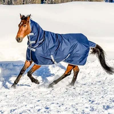 Produktbild von Bucas Freedom Turnout 300 g Full Neck, Weidedecke, Outdoordecke, Farbe:Navy/Silver, Größe:155