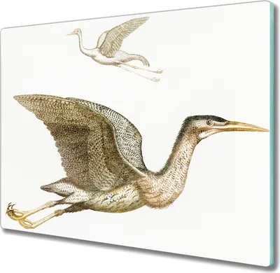 Produktbild von Coloray Hackbrett Herdabdeckplatte 60x52 cm Küchenbrett Kochplattenabdeckung Schneidebrett - Tiere Vögel